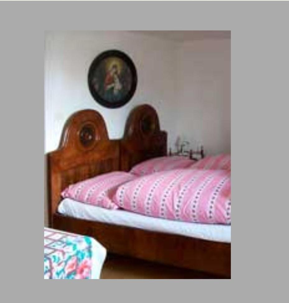 Appartement Dum U Giordanu à Slavonice Extérieur photo